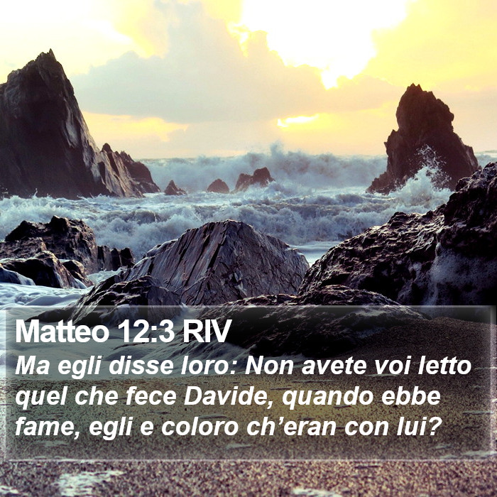 Matteo 12:3 RIV Bible Study