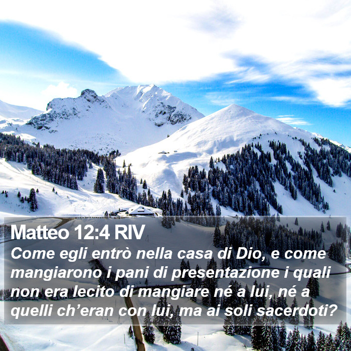 Matteo 12:4 RIV Bible Study