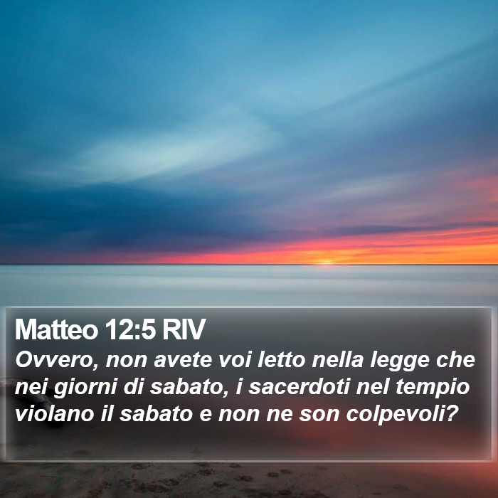 Matteo 12:5 RIV Bible Study