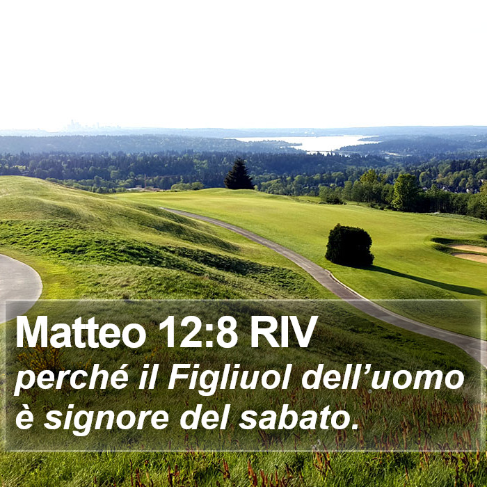 Matteo 12:8 RIV Bible Study