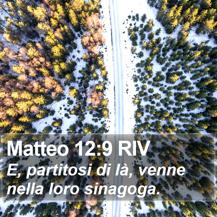 Matteo 12:9 RIV Bible Study