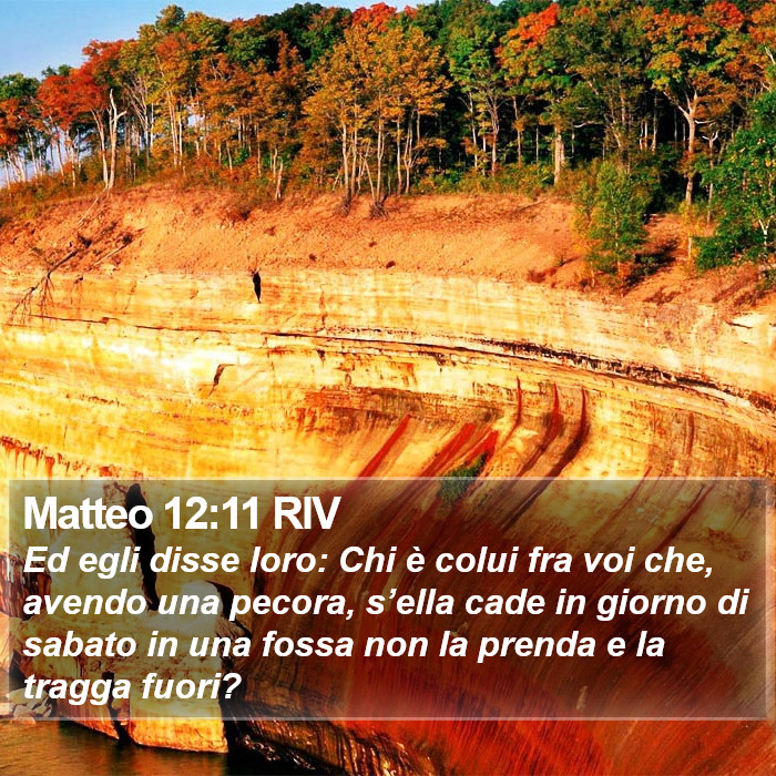 Matteo 12:11 RIV Bible Study