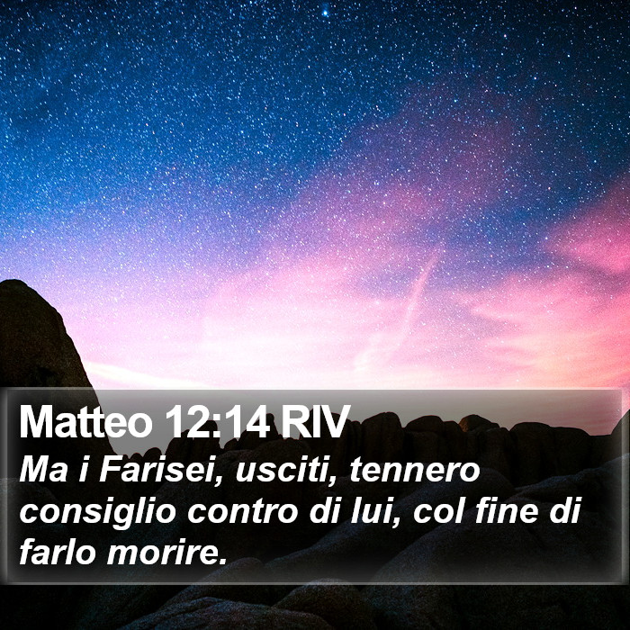 Matteo 12:14 RIV Bible Study