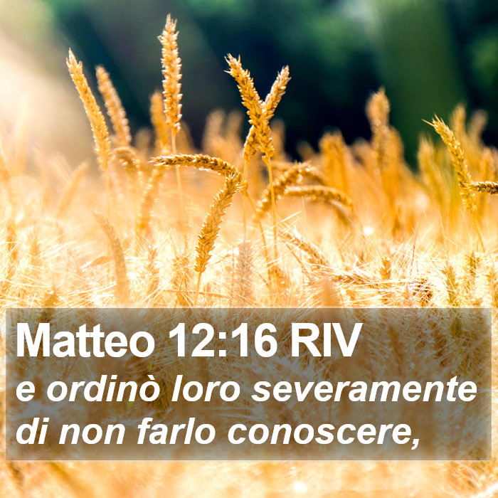 Matteo 12:16 RIV Bible Study