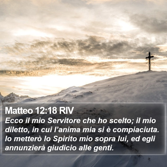 Matteo 12:18 RIV Bible Study