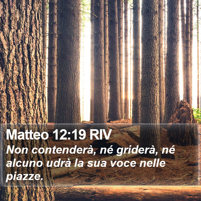 Matteo 12:19 RIV Bible Study