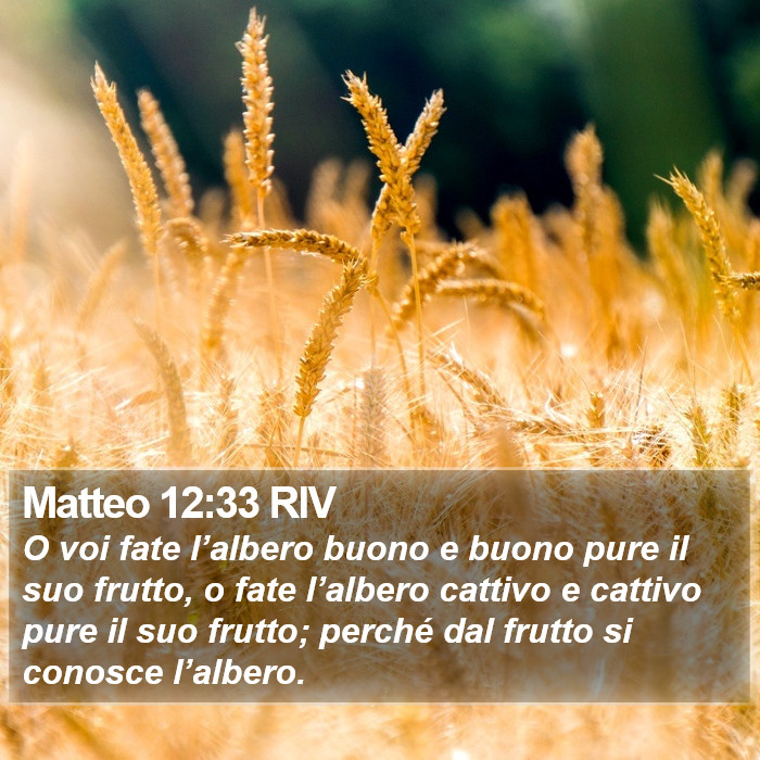 Matteo 12:33 RIV Bible Study