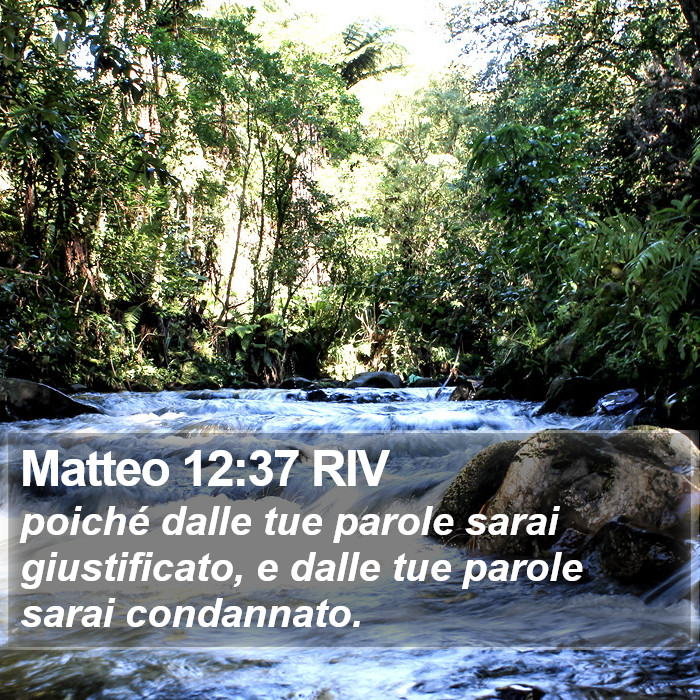 Matteo 12:37 RIV Bible Study