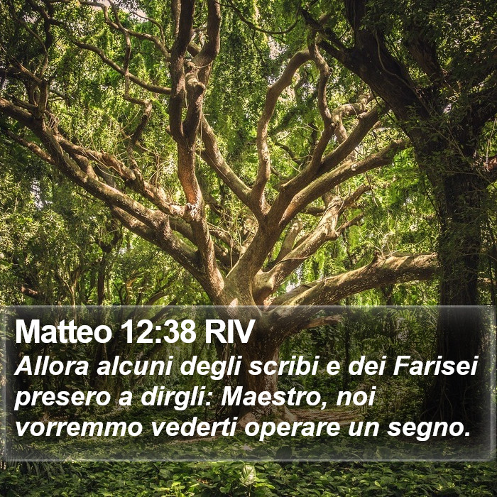 Matteo 12:38 RIV Bible Study