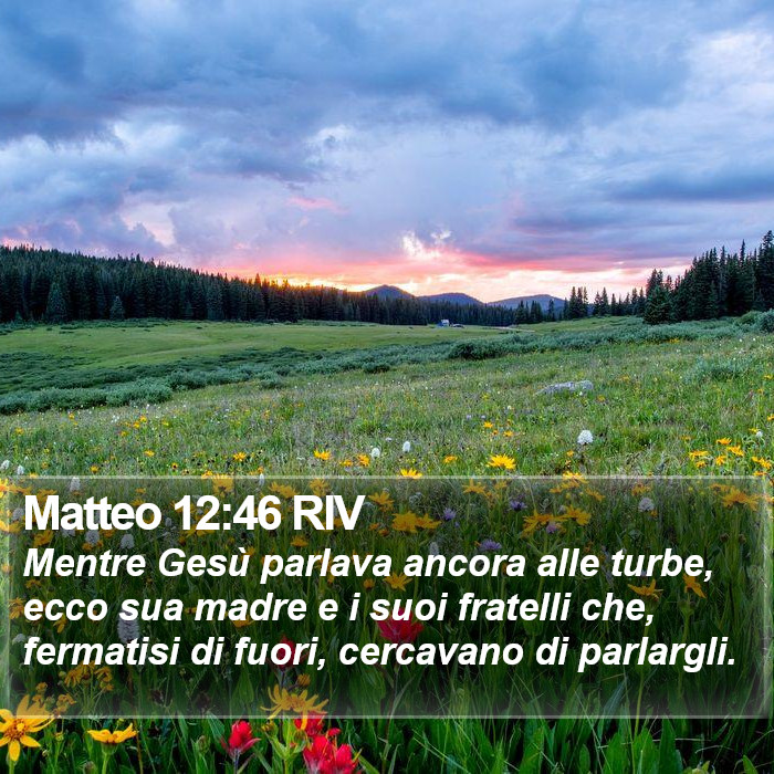 Matteo 12:46 RIV Bible Study