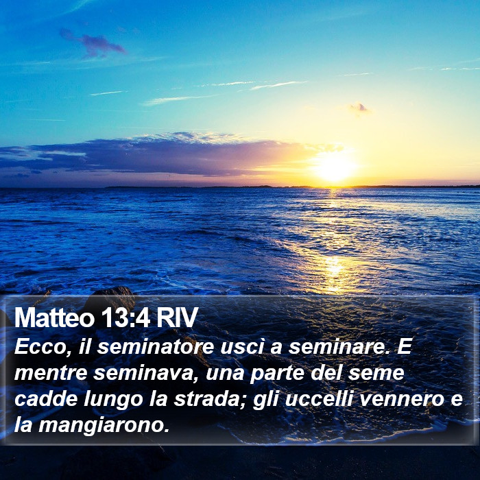 Matteo 13:4 RIV Bible Study