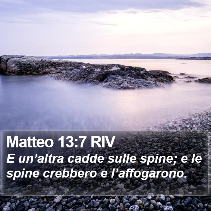 Matteo 13:7 RIV Bible Study