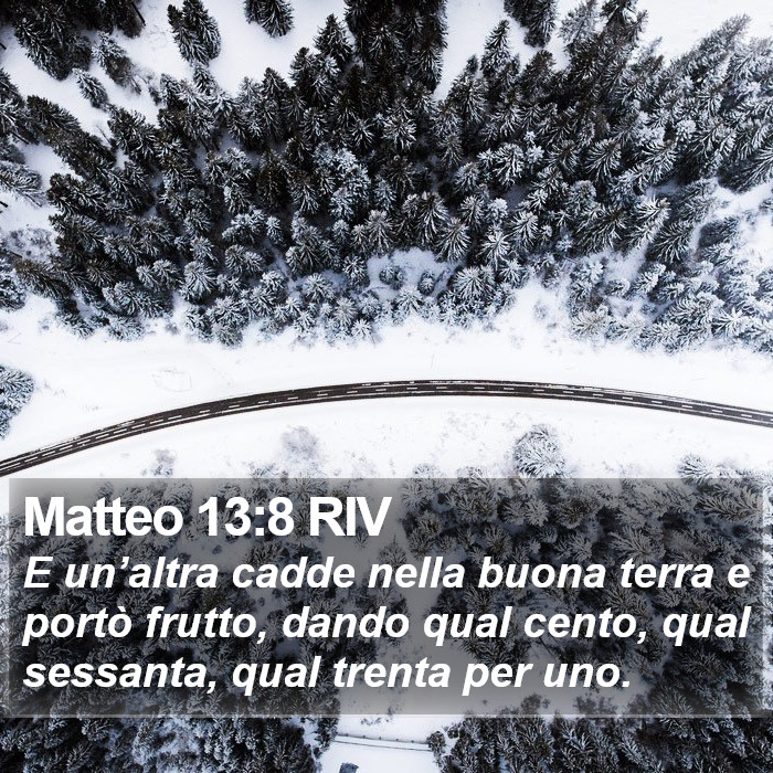 Matteo 13:8 RIV Bible Study