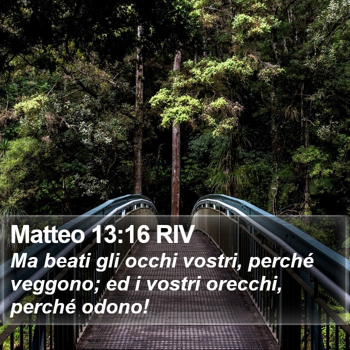 Matteo 13:16 RIV Bible Study