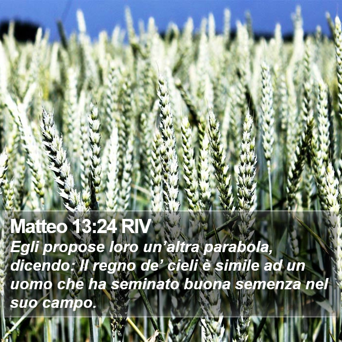 Matteo 13:24 RIV Bible Study