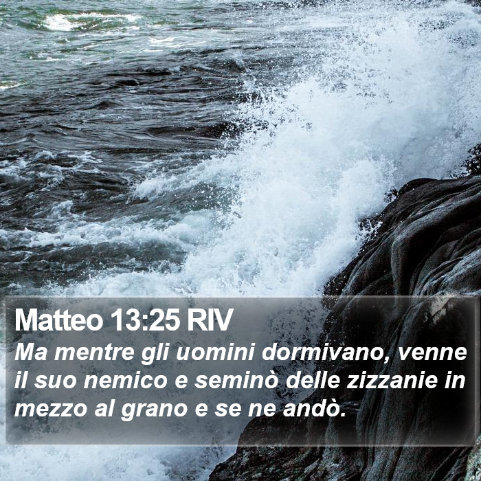 Matteo 13:25 RIV Bible Study