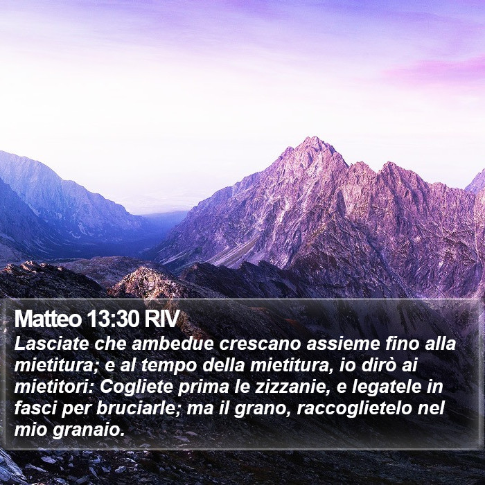 Matteo 13:30 RIV Bible Study