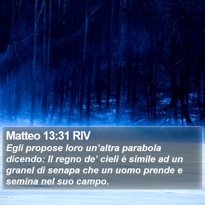 Matteo 13:31 RIV Bible Study