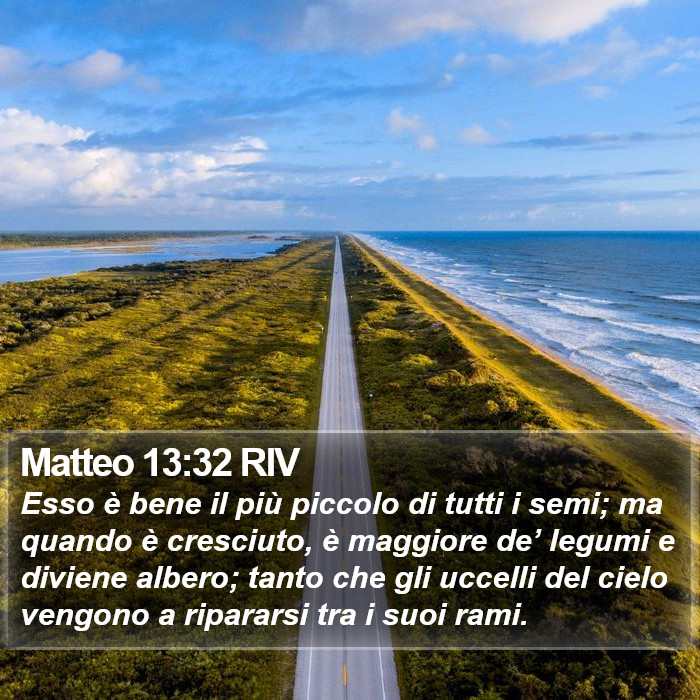 Matteo 13:32 RIV Bible Study