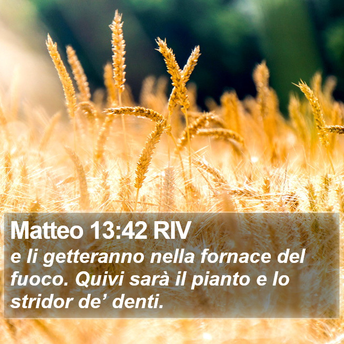 Matteo 13:42 RIV Bible Study