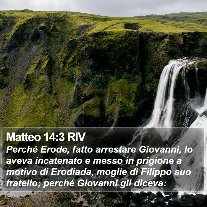 Matteo 14:3 RIV Bible Study