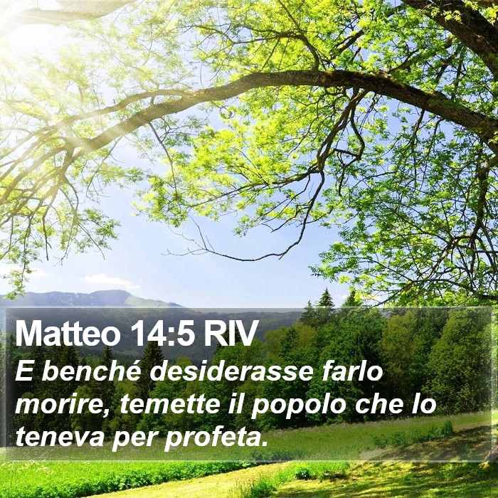 Matteo 14:5 RIV Bible Study