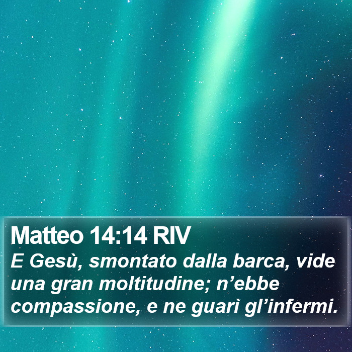 Matteo 14:14 RIV Bible Study