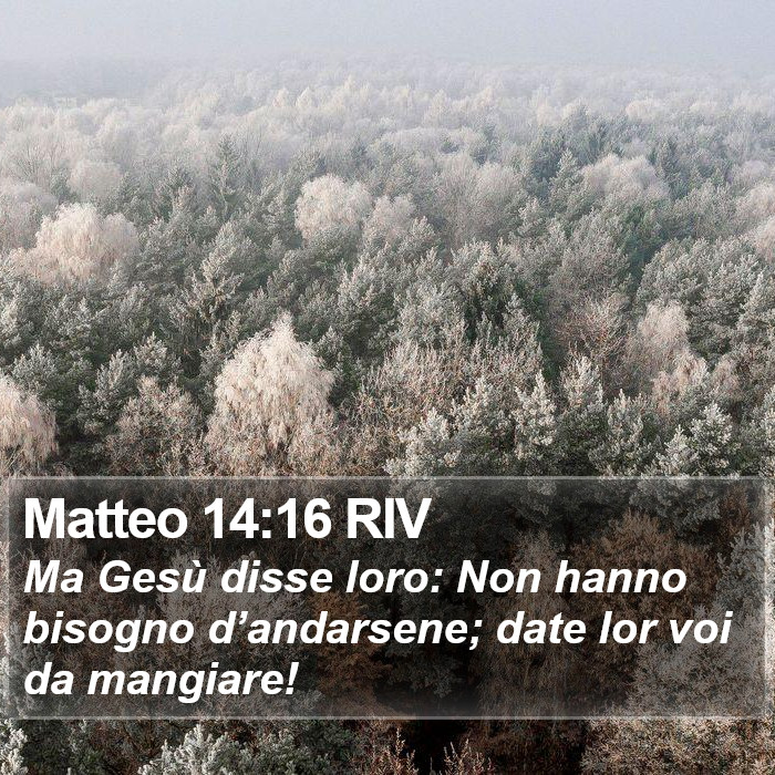 Matteo 14:16 RIV Bible Study