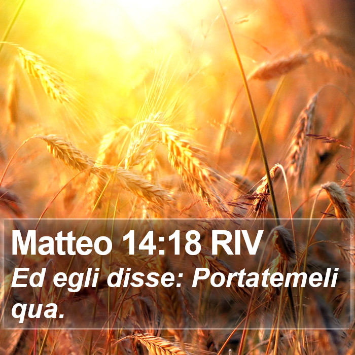 Matteo 14:18 RIV Bible Study