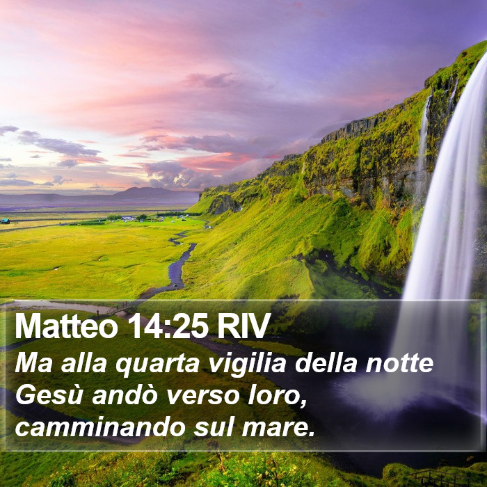 Matteo 14:25 RIV Bible Study