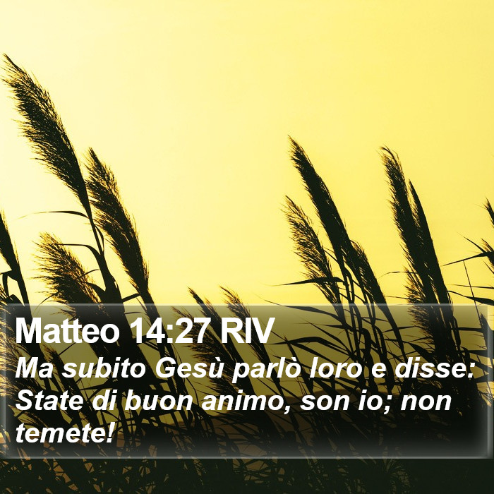 Matteo 14:27 RIV Bible Study