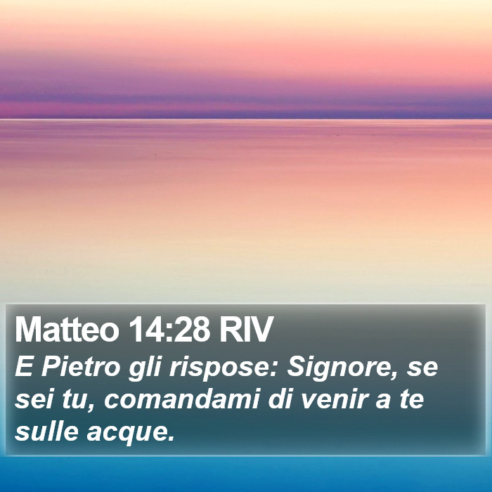 Matteo 14:28 RIV Bible Study