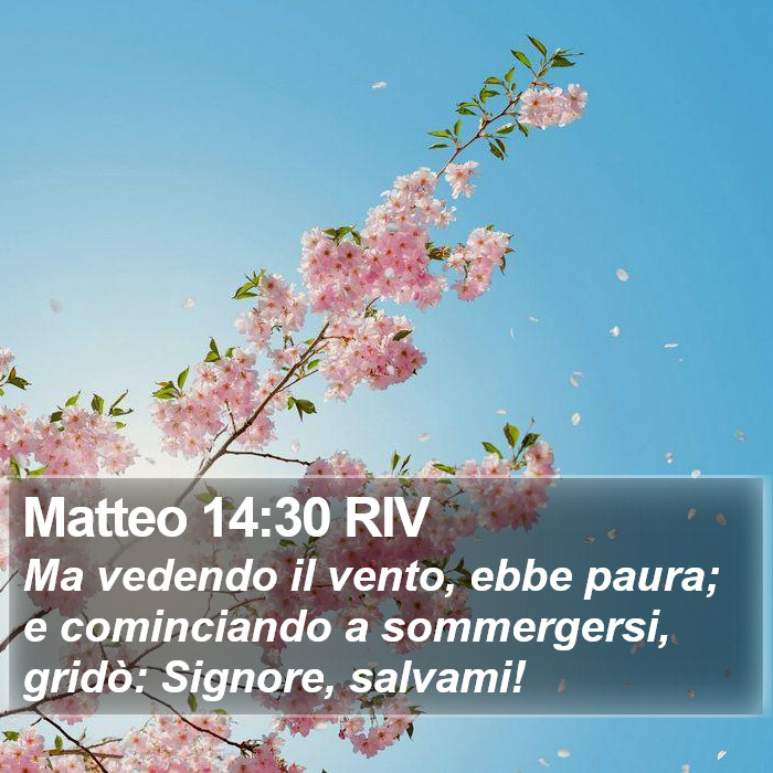 Matteo 14:30 RIV Bible Study