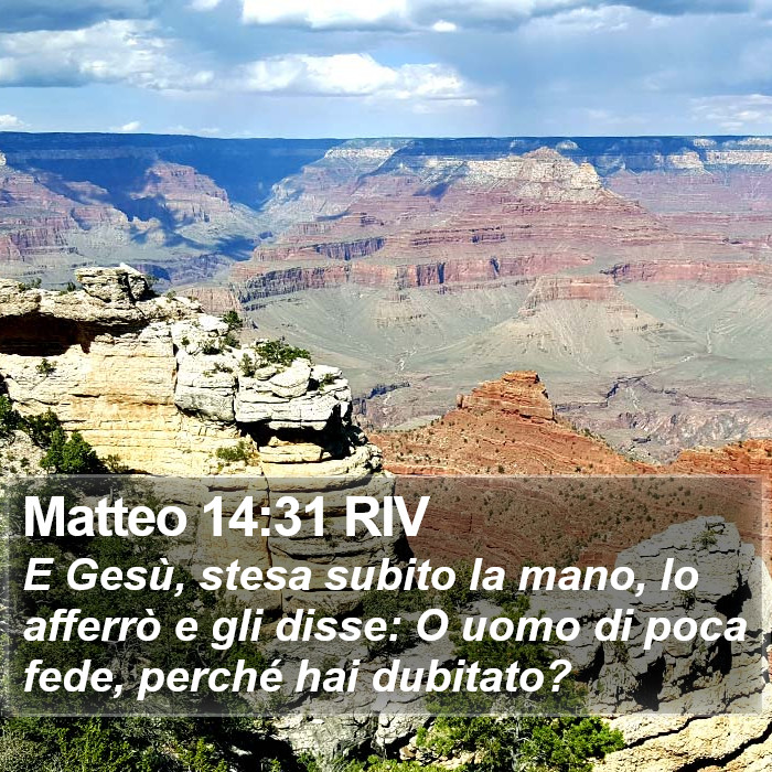 Matteo 14:31 RIV Bible Study