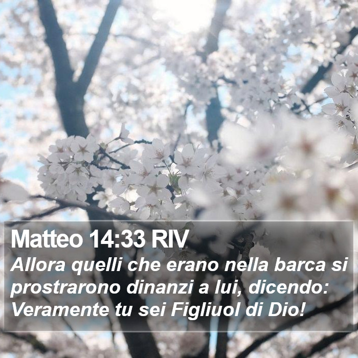 Matteo 14:33 RIV Bible Study