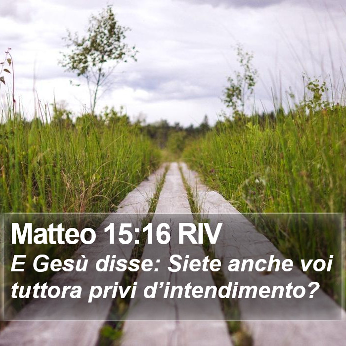 Matteo 15:16 RIV Bible Study