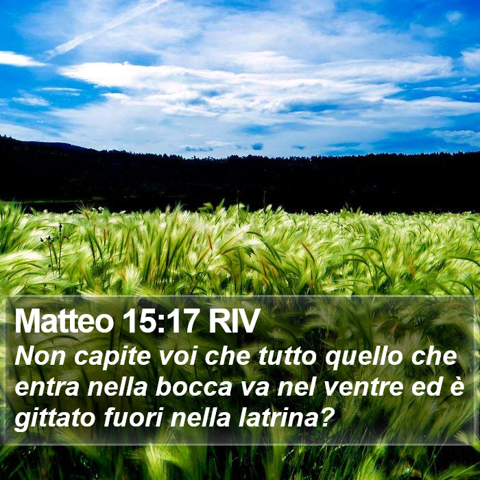 Matteo 15:17 RIV Bible Study