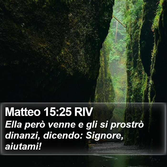 Matteo 15:25 RIV Bible Study
