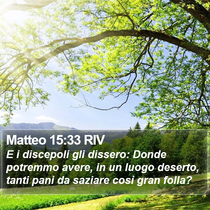 Matteo 15:33 RIV Bible Study