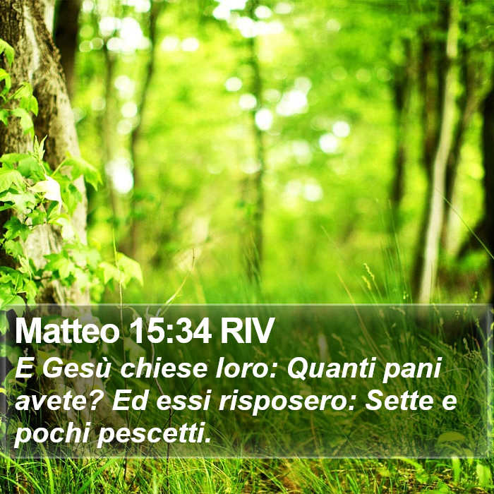 Matteo 15:34 RIV Bible Study
