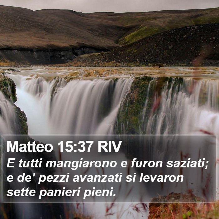 Matteo 15:37 RIV Bible Study
