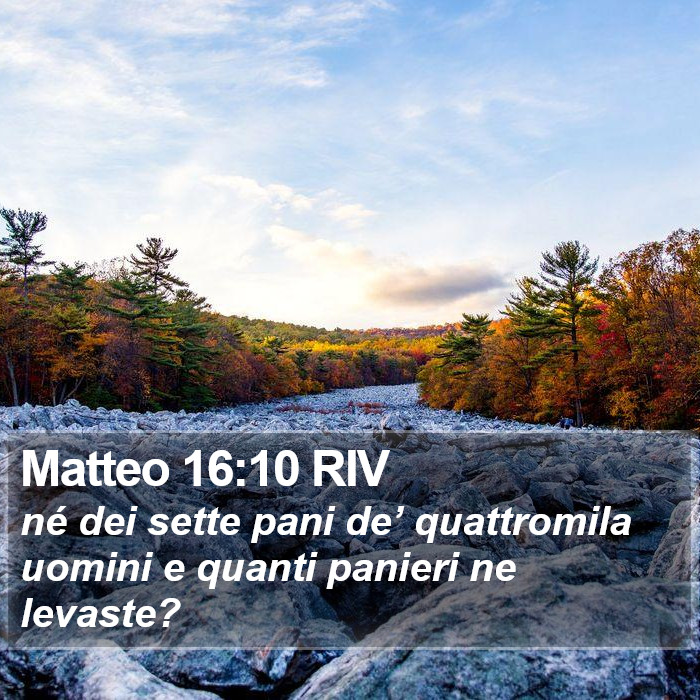 Matteo 16:10 RIV Bible Study