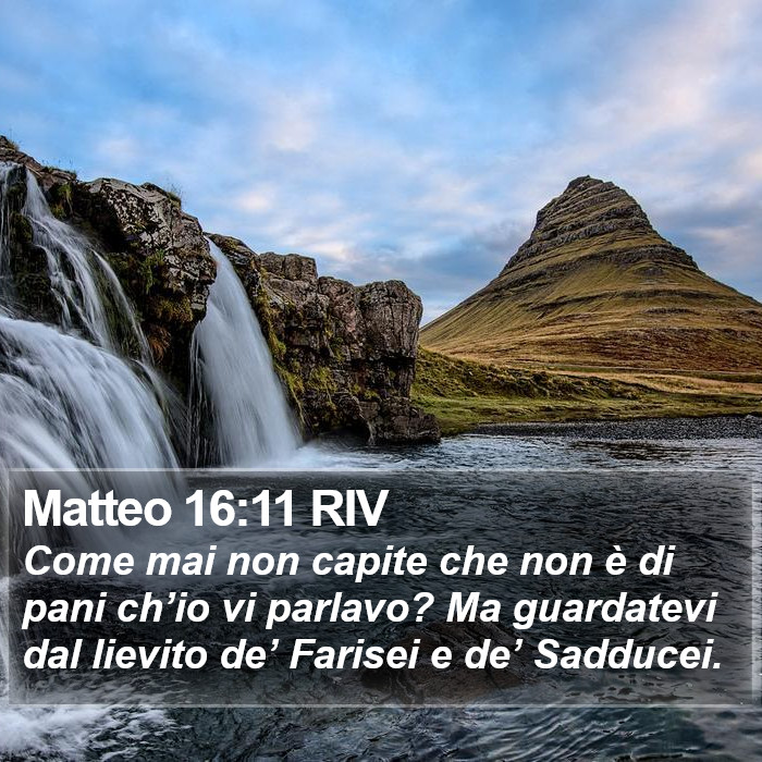 Matteo 16:11 RIV Bible Study