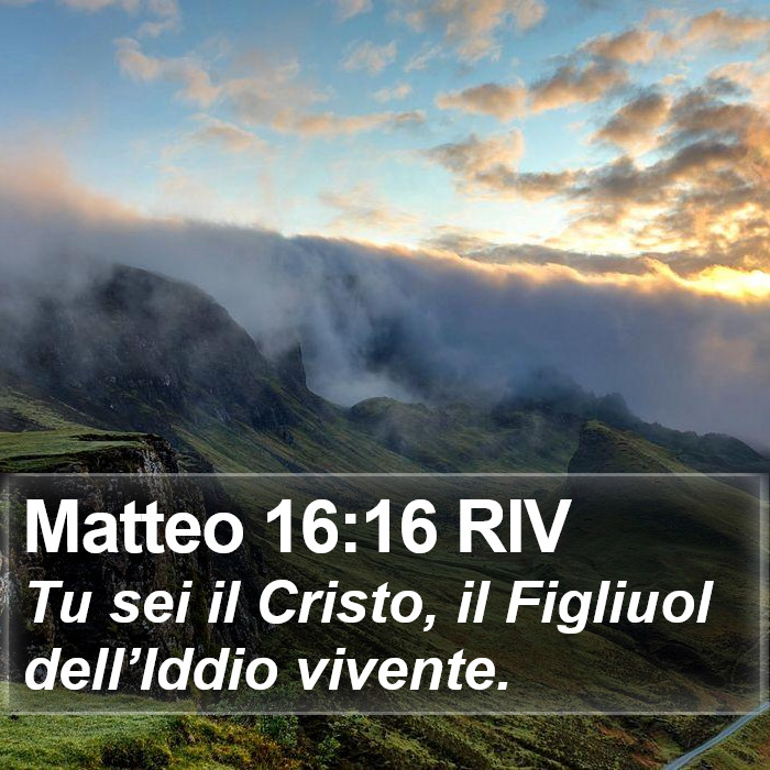 Matteo 16:16 RIV Bible Study