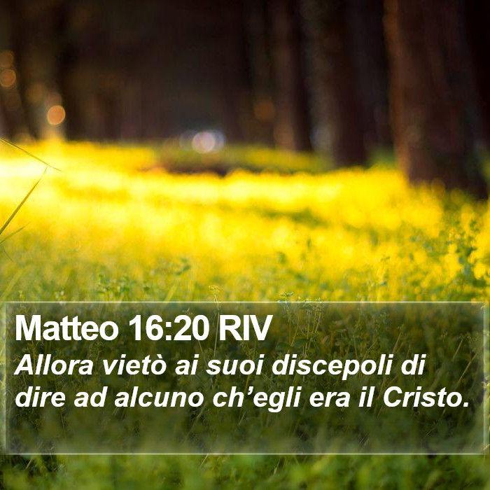 Matteo 16:20 RIV Bible Study