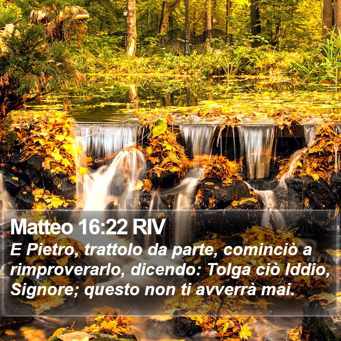 Matteo 16:22 RIV Bible Study