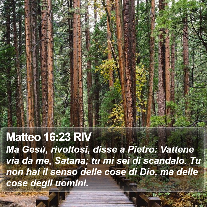 Matteo 16:23 RIV Bible Study