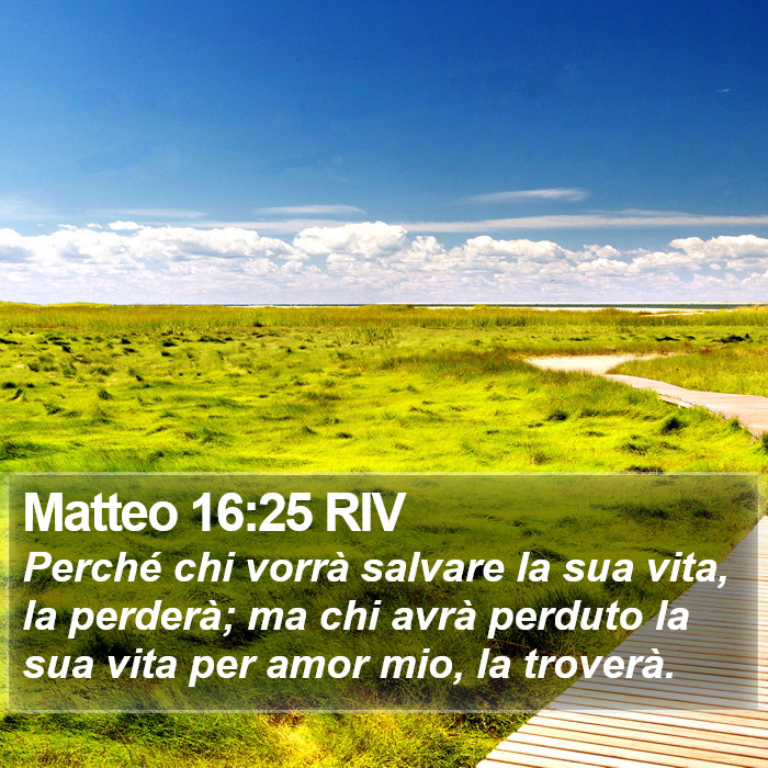 Matteo 16:25 RIV Bible Study