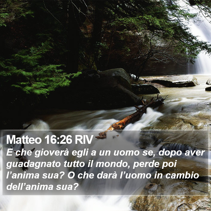 Matteo 16:26 RIV Bible Study