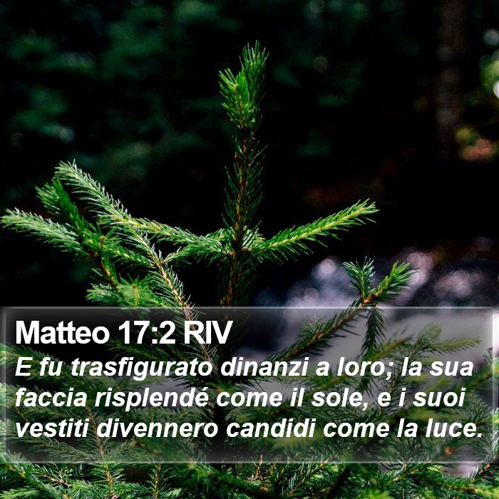 Matteo 17:2 RIV Bible Study